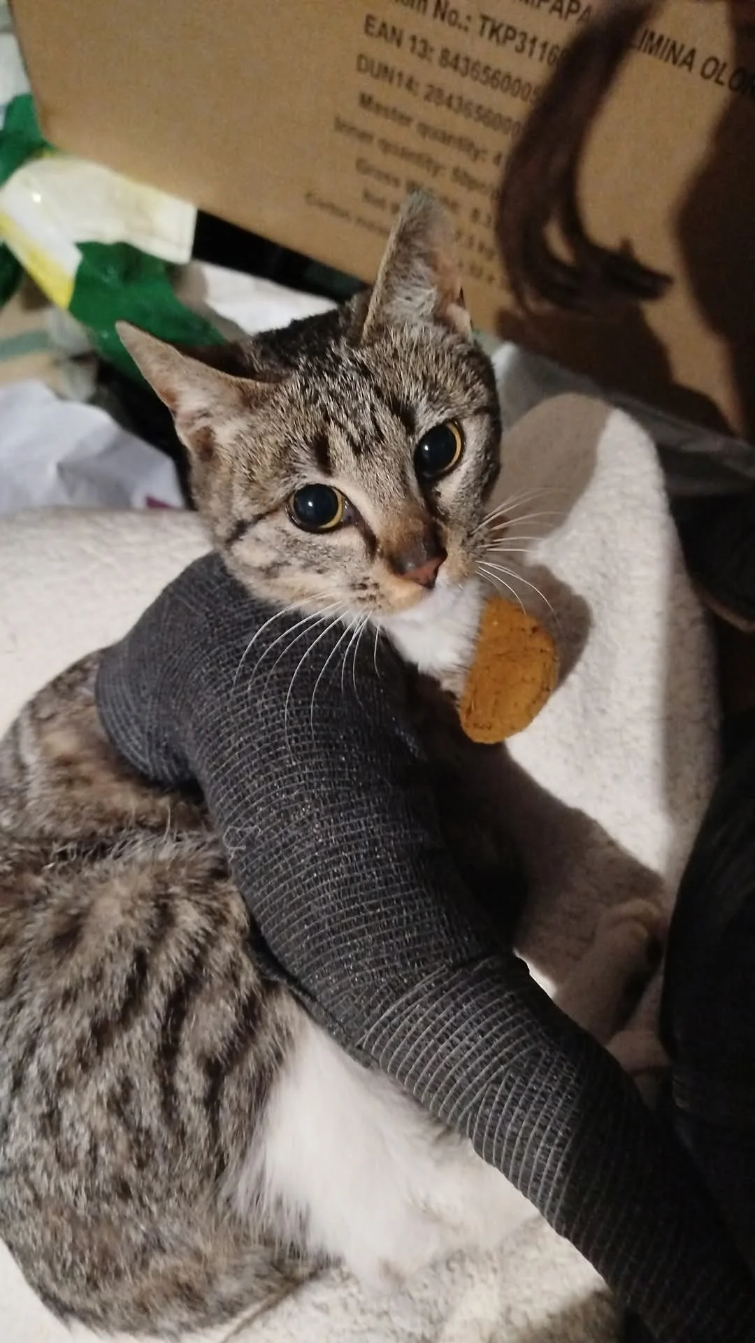 Cayetana recuperándose