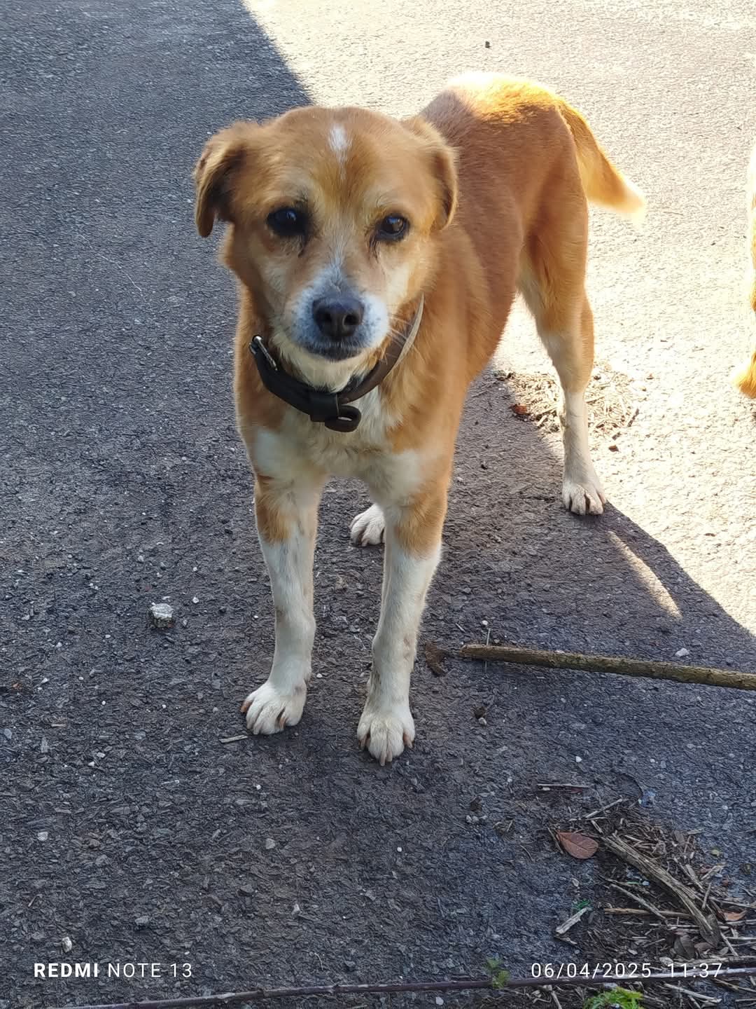 Paco