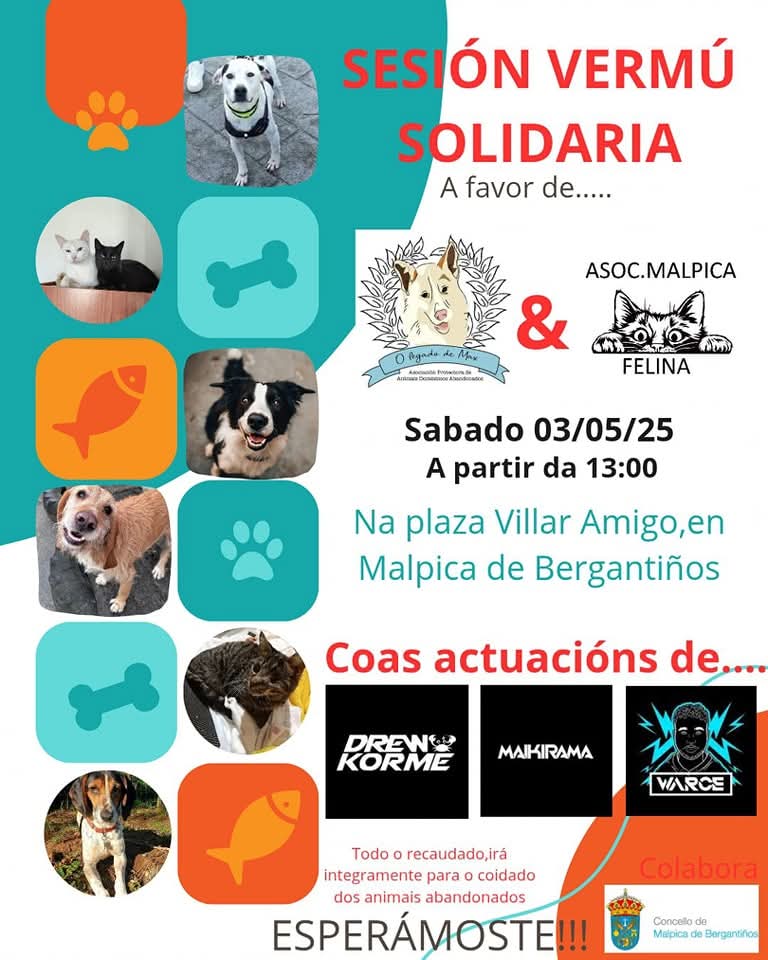 Cartel do evento solidario con música en directo en Malpica a favor dos animais abandonados