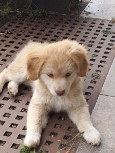 Wanda