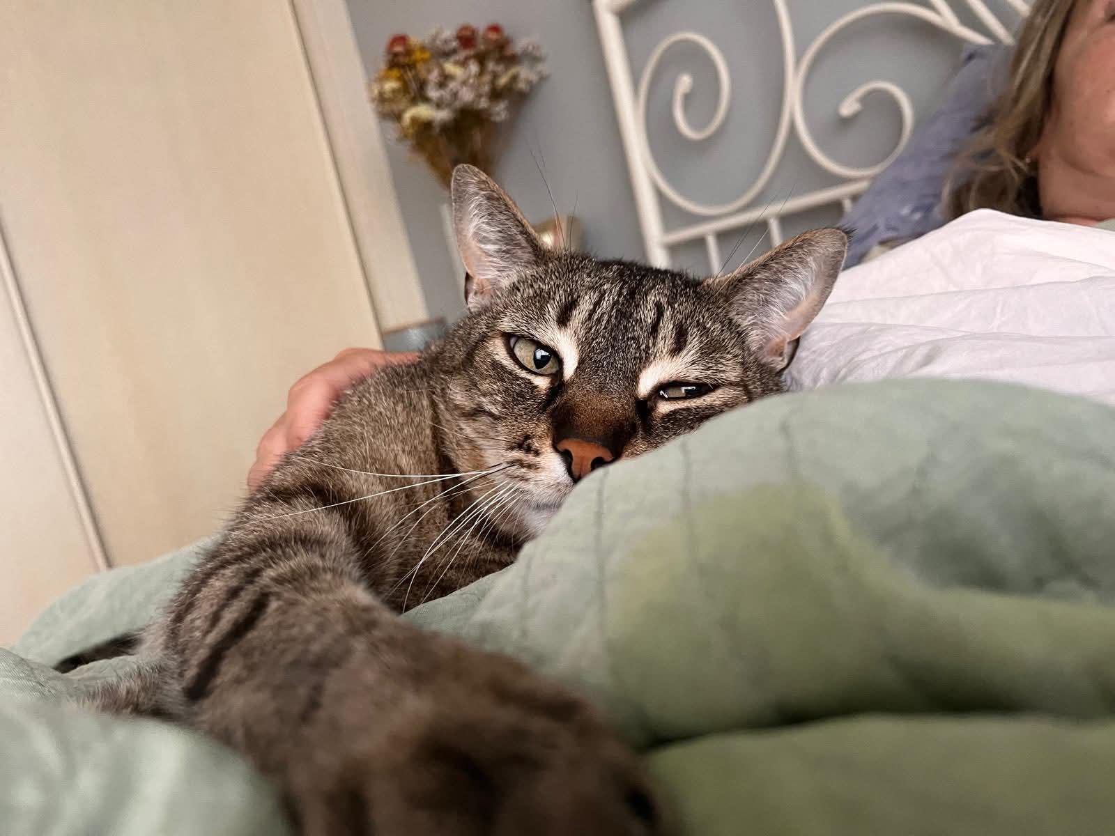 Paco